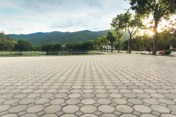 Best Custom Driveway Pavers  in Morrow, GA